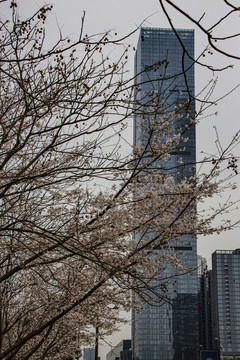 城市风景