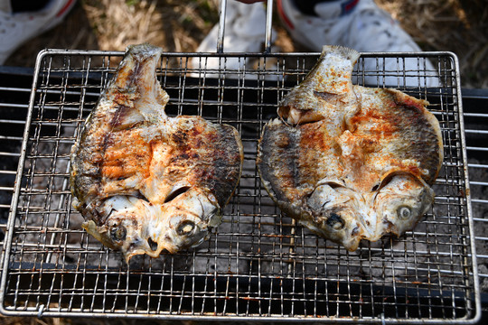 户外烤肉