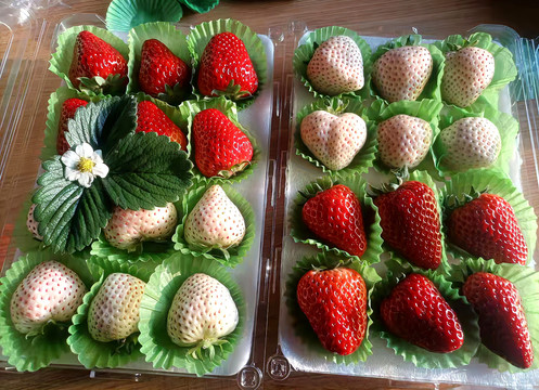 白草莓奶油草莓