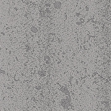 水泥墻