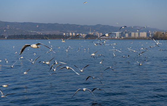 滇池海埂公园