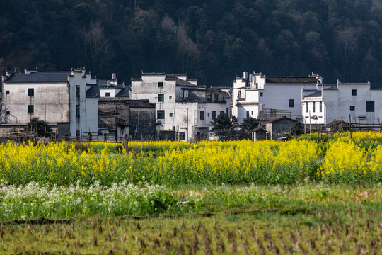 婺源理坑村