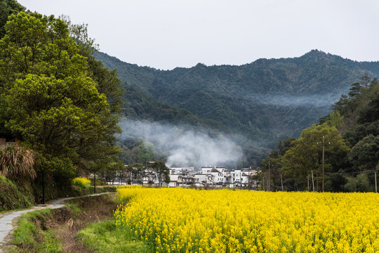 婺源晓起村