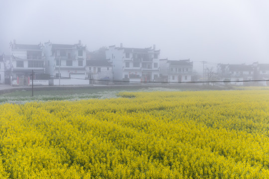 婺源沱川乡