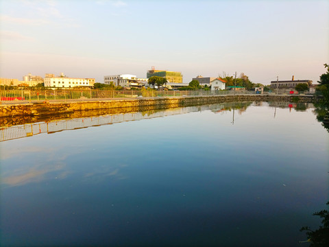 水塘晨曦