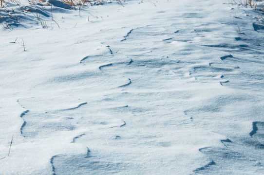 雪地