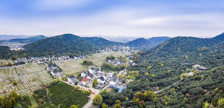 苏州树山村