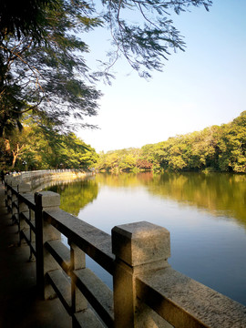 东湖公园湖水美景