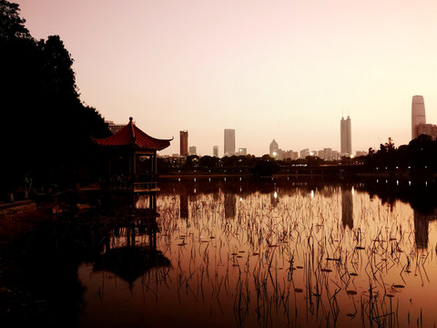 深圳洪湖公园傍晚美景