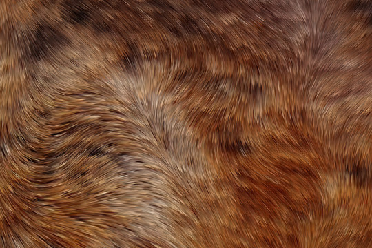 棕色动物毛发纹理