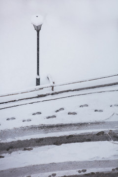 雪景