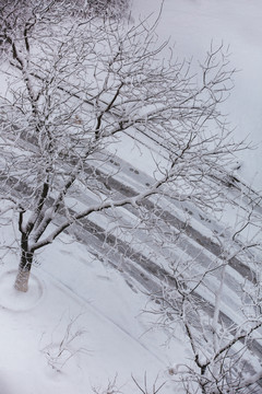 雪景