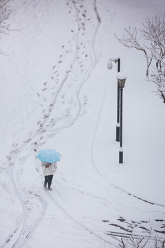 雪景