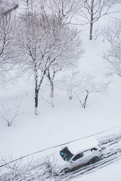 雪景