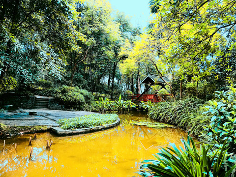 黄色池塘