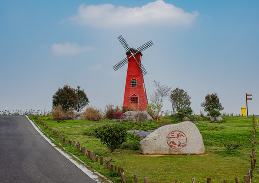 郁金香高地