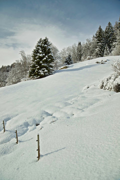 雪景与山景