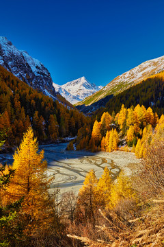 山景与群山