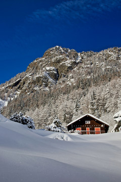 雪景与雪域高原