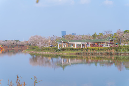 海珠湿地公园