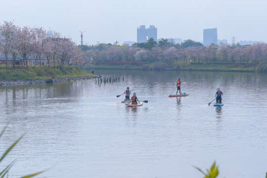 海珠湿地公园