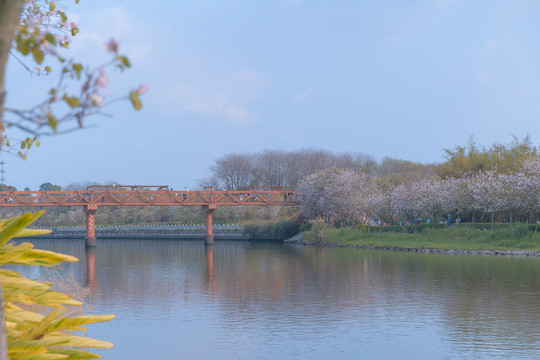 海珠湿地公园