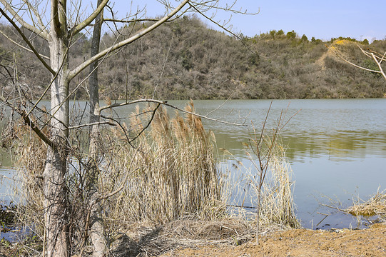 乡愁秋色装饰油画