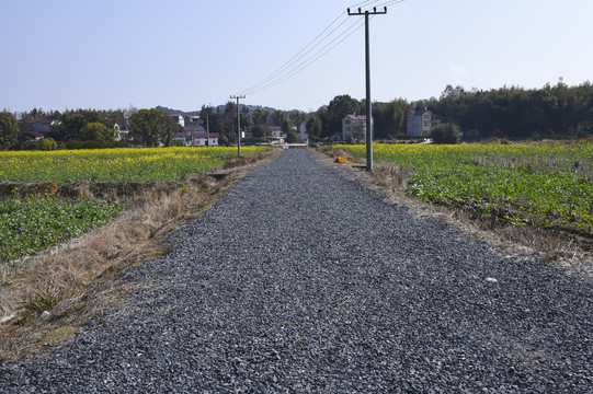 实施乡村振兴战略