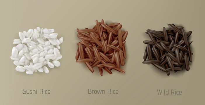 棕色米粒品种元素
