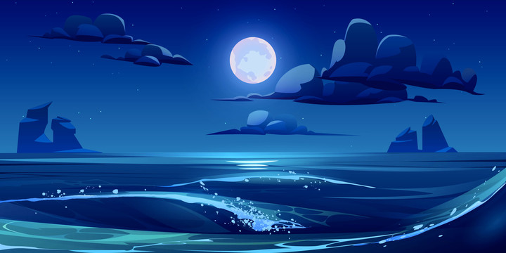夜晚月照海洋插图