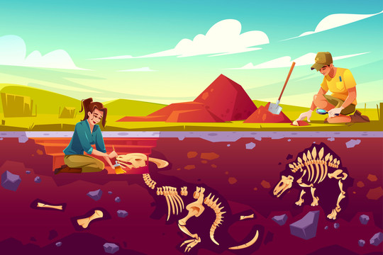 考古学家修复 恐龙化石插图
