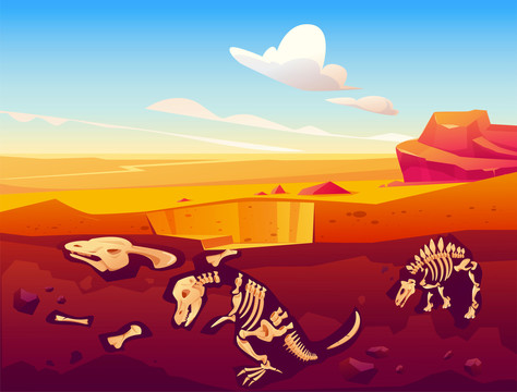 沙漠地质层 恐龙化石插图