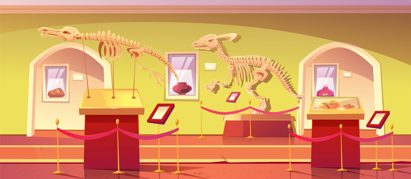 恐龙化石博物馆插图