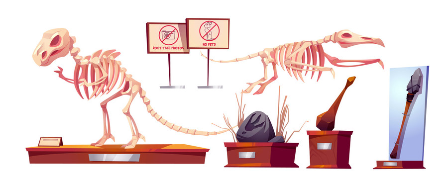 恐龍骨骸化石插圖