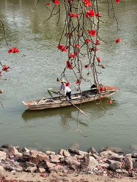 红棉水乡