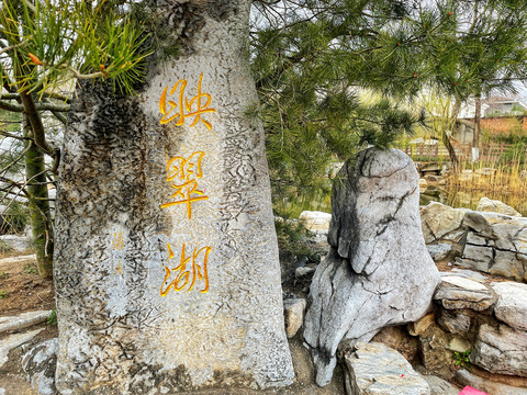 八大处映翠湖