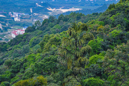 罗浮山风景名胜区