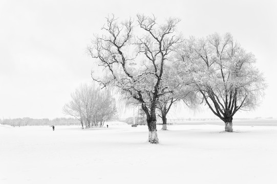 雪