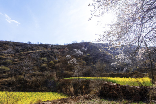 山野春色