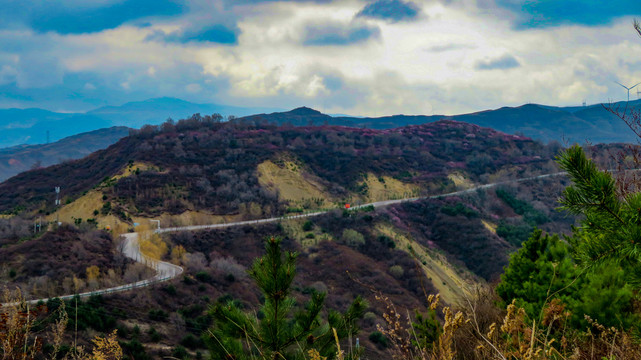 山川风景植被