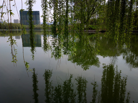 大名湖风景