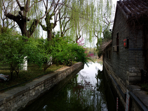 大名湖风景