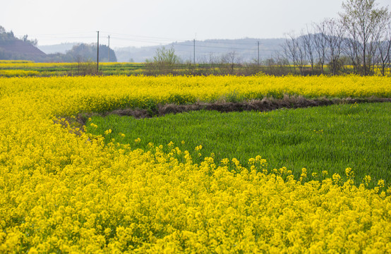 农田土地