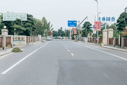 花卉小镇马路