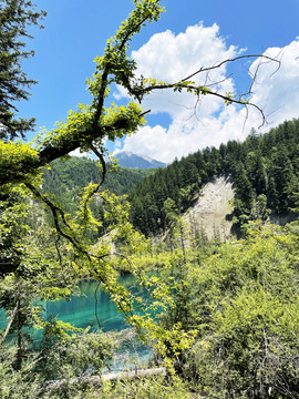 九寨沟的水