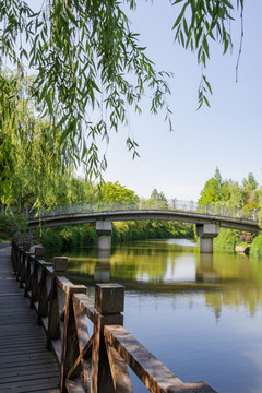 城市公园景观设计路桥植物