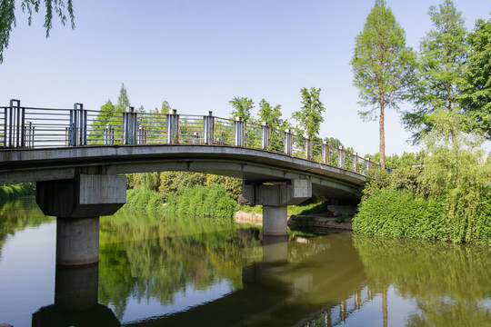 城市公园景观设计路桥植物