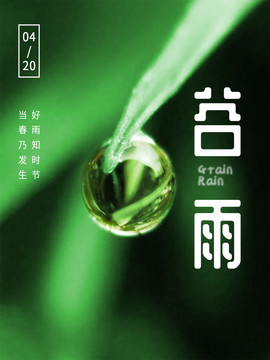 谷雨
