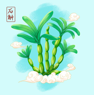 中草藥石斛手繪插畫
