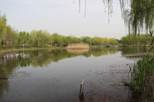 中国药科大学药用植物园